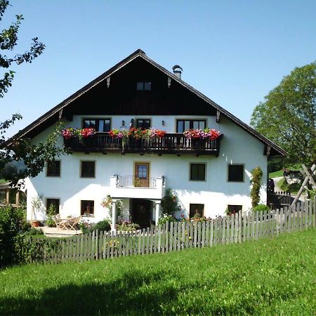 Leitingerhof Villa Thalgau Exterior photo