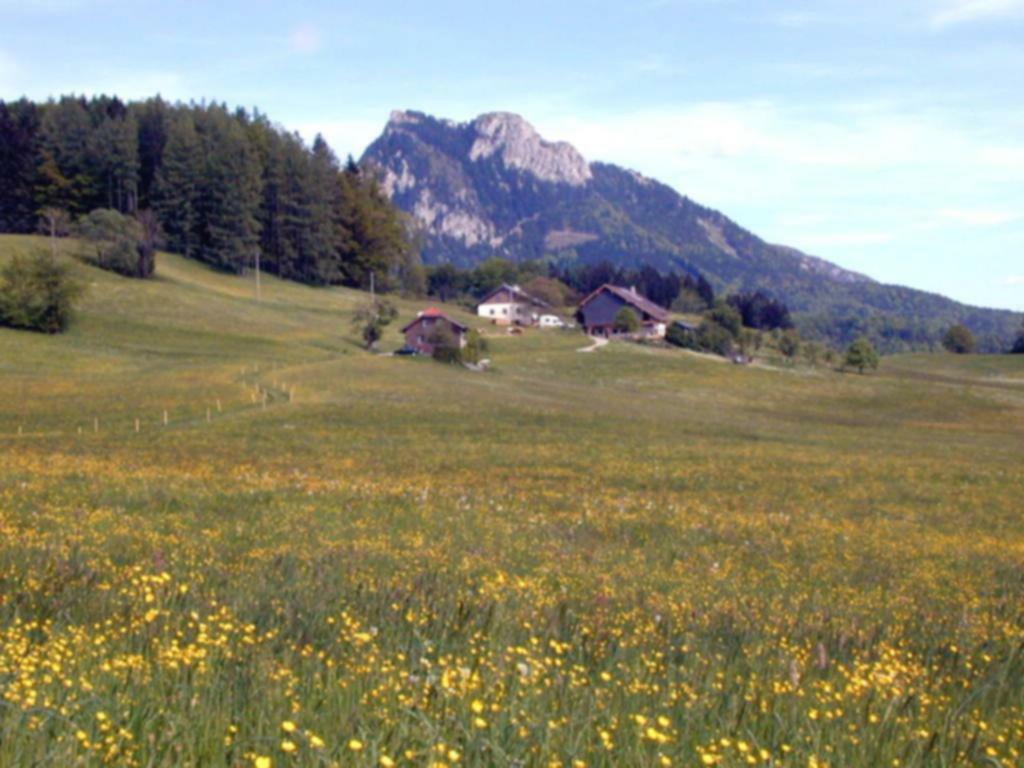 Leitingerhof Villa Thalgau Exterior photo